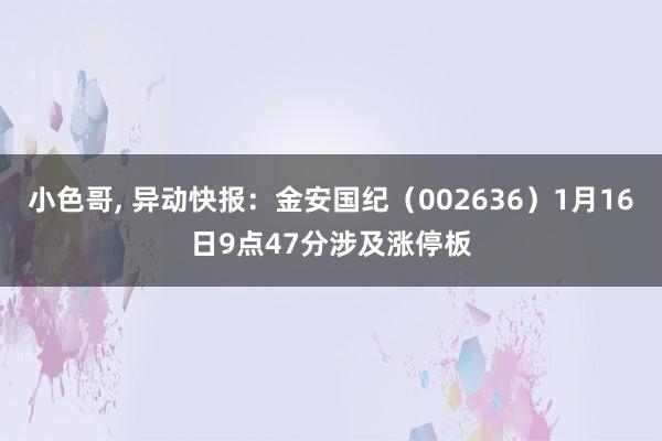 小色哥， 异动快报：金安国纪（002636）1月16日9点47分涉及涨停板