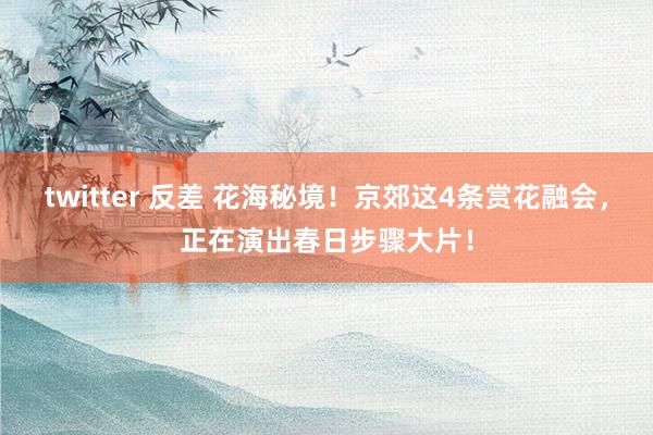 twitter 反差 花海秘境！京郊这4条赏花融会，<a href=