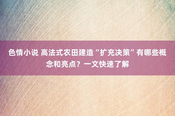 色情小说 高法式农田建造“扩充决策”有哪些概念和亮点？一文快速了解