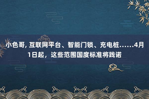 小色哥， 互联网平台、智能门锁、充电桩……4月1日起，这些范围国度标准将践诺