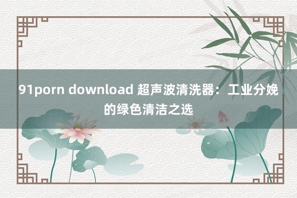 91porn download 超声波清洗器：工业分娩的绿色清洁之选