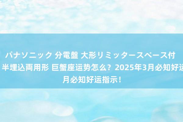 パナソニック 分電盤 大形リミッタースペース付 露出・半埋込両用形 巨蟹座运势怎么？2025年3月必知好运指示！