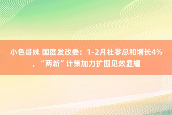 小色哥妹 国度发改委：1-2月社零总和增长4%，“两新”计策加力扩围见效显耀