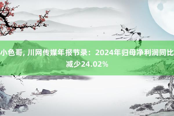 小色哥， 川网传媒年报节录：2024年归母净利润同比减少24.02%