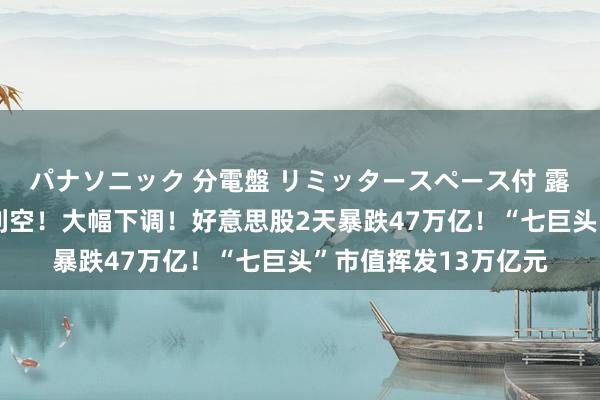 パナソニック 分電盤 リミッタースペース付 露出・半埋込両用形 利空！大幅下调！好意思股2天暴跌47万亿！“七巨头”市值挥发13万亿元