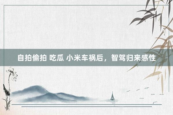 自拍偷拍 吃瓜 小米车祸后，智驾归来感性