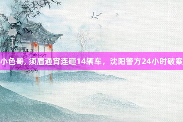 小色哥， 须眉通宵连砸14辆车，沈阳警方24小时破案