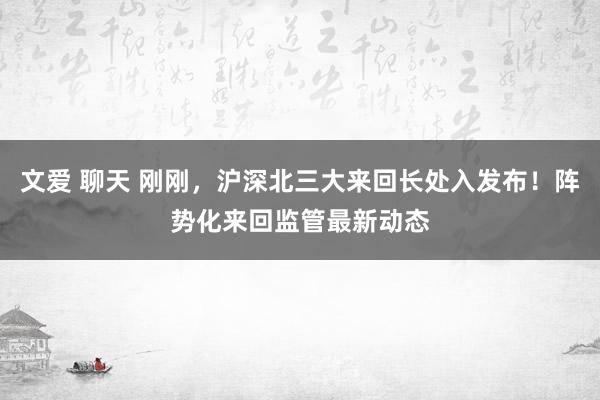 文爱 聊天 刚刚，沪深北三大来回长处入发布！阵势化来回监管最新动态