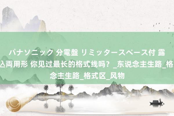パナソニック 分電盤 リミッタースペース付 露出・半埋込両用形 你见过最长的格式线吗？_东说念主生路_格式区_风物