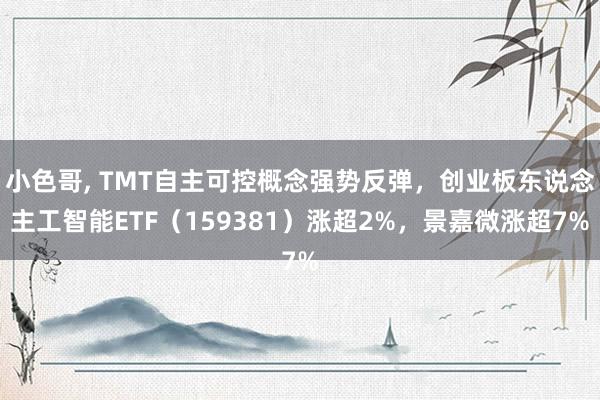 小色哥， TMT自主可控概念强势反弹，创业板东说念主工智能ETF（159381）涨超2%，景嘉微涨超7%