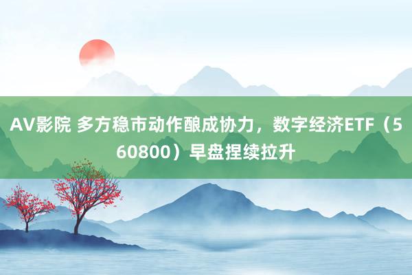 AV影院 多方稳市动作酿成协力，数字经济ETF（560800）早盘捏续拉升