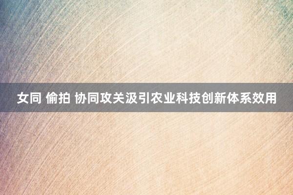 女同 偷拍 协同攻关汲引农业科技创新体系效用