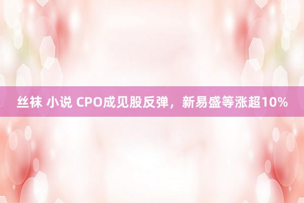 丝袜 小说 CPO成见股反弹，新易盛等涨超10%