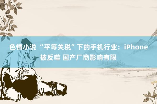 色情小说 “平等关税”下的手机行业：iPhone被反噬 国产厂商影响有限