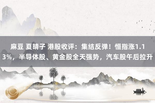 麻豆 夏晴子 港股收评：集结反弹！恒指涨1.13%，半导体股、黄金股全天强势，汽车股午后拉升