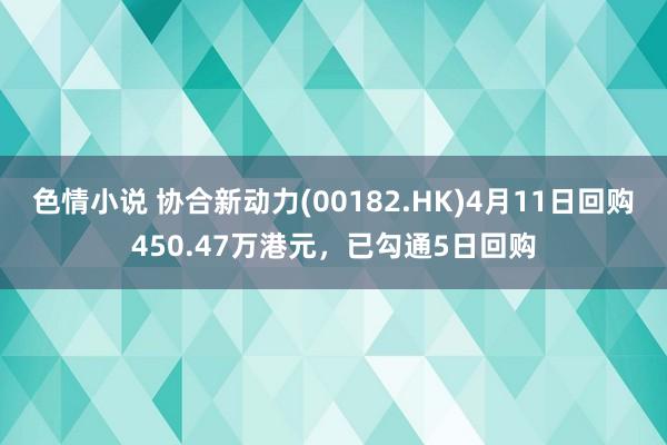 色情小说 协合新动力(00182.HK)4月11日回购450.47万港元，已勾通5日回购