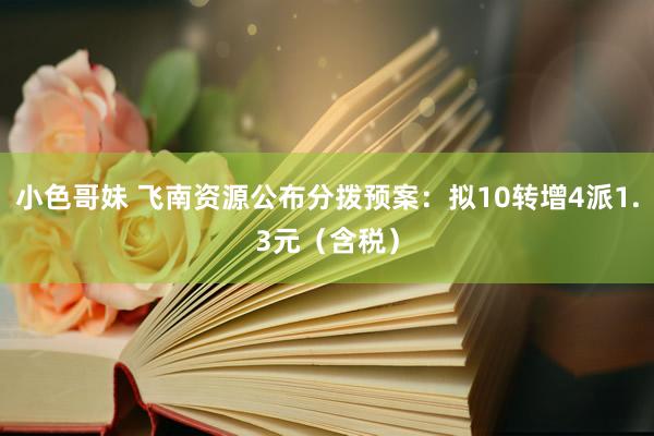 小色哥妹 飞南资源公布分拨预案：拟10转增4派1.3元（含税）