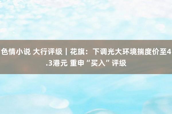 色情小说 大行评级｜花旗：下调光大环境揣度价至4.3港元 重申“买入”评级