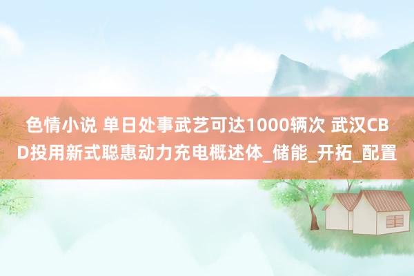 色情小说 单日处事武艺可达1000辆次 武汉CBD投用新式聪惠动力充电概述体_储能_开拓_配置