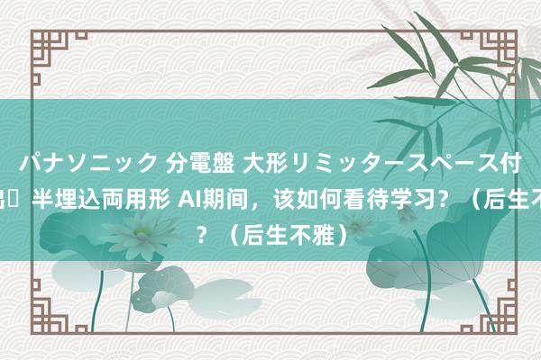 パナソニック 分電盤 大形リミッタースペース付 露出・半埋込両用形 AI期间，该如何看待学习？（后生不雅）