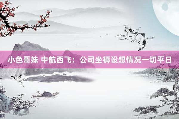 小色哥妹 中航西飞：公司坐褥设想情况一切平日
