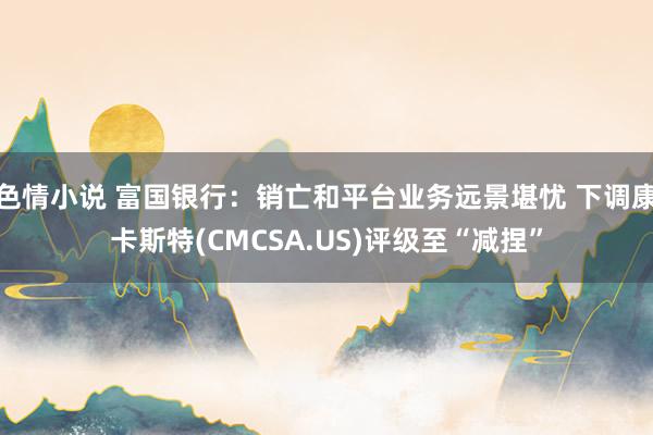 色情小说 富国银行：销亡和平台业务远景堪忧 下调康卡斯特(CMCSA.US)评级至“减捏”
