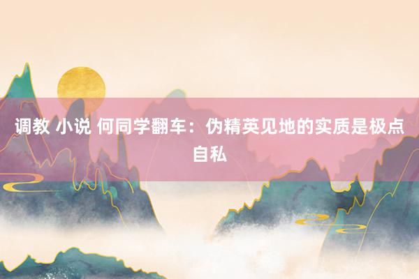 调教 小说 何同学翻车：伪精英见地的实质是极点自私