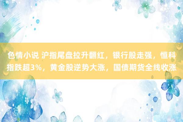 色情小说 沪指尾盘拉升翻红，银行股走强，恒科指跌超3%，黄金股逆势大涨，国债期货全线收涨