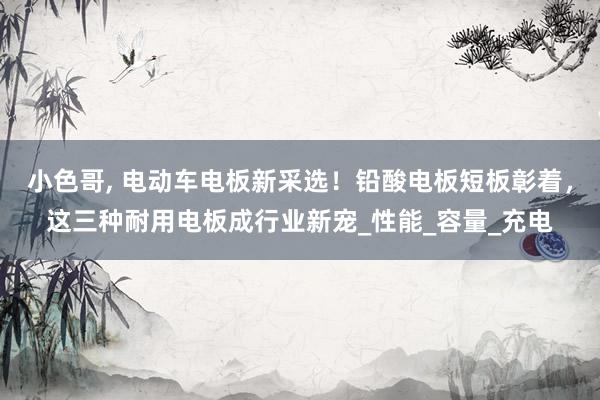 小色哥， 电动车电板新采选！铅酸电板短板彰着，这三种耐用电板成行业新宠_性能_容量_充电