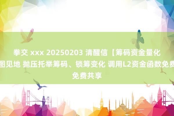 拳交 xxx 20250203 清醒信【筹码资金量化】副图见地 抛压托举筹码、锁筹变化 调用L2资金函数免费共享
