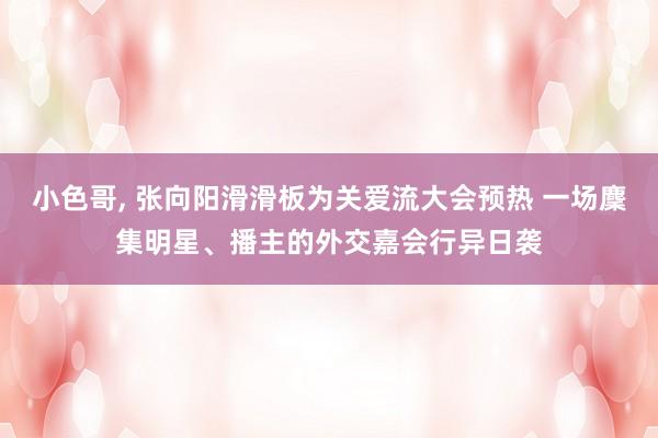 小色哥， 张向阳滑滑板为关爱流大会预热 一场麇集明星、播主的外交嘉会行异日袭