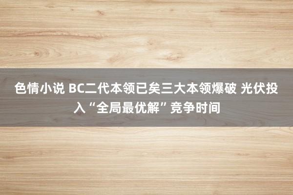 色情小说 BC二代本领已矣三大本领爆破 光伏投入“全局最优解”竞争时间