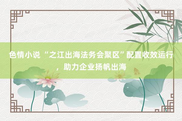 色情小说 “之江出海法务会聚区”配置收效运行，助力企业扬帆出海