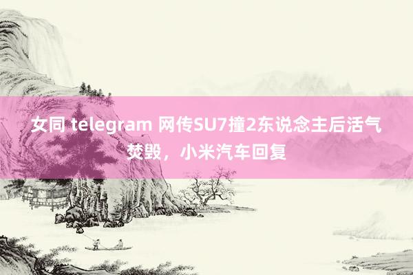 女同 telegram 网传SU7撞2东说念主后活气焚毁，小米汽车回复
