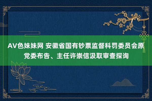 AV色妹妹网 安徽省国有钞票监督科罚委员会原党委布告、主任许崇信汲取审查探询