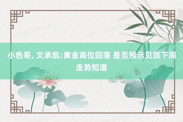 小色哥， 文承凯:黄金高位回落 是否预示见顶下周走势知道