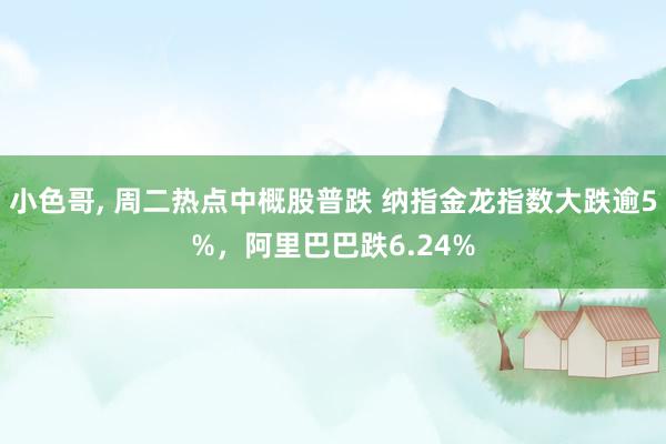 小色哥， 周二热点中概股普跌 纳指金龙指数大跌逾5%，阿里巴巴跌6.24%