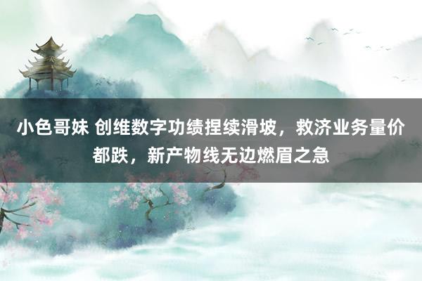 小色哥妹 创维数字功绩捏续滑坡，救济业务量价都跌，新产物线无边燃眉之急