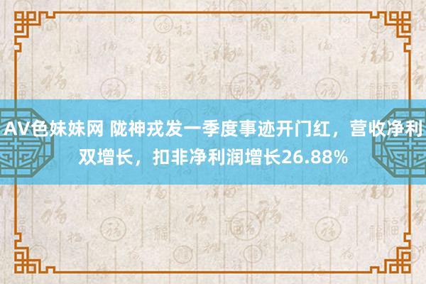 AV色妹妹网 陇神戎发一季度事迹开门红，营收净利双增长，扣非净利润增长26.88%