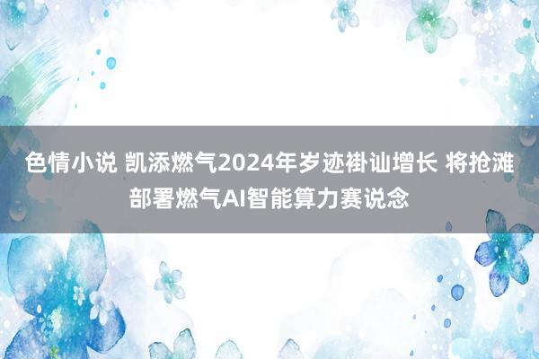 色情小说 凯添燃气2024年岁迹褂讪增长 将抢滩部署燃气AI智能算力赛说念