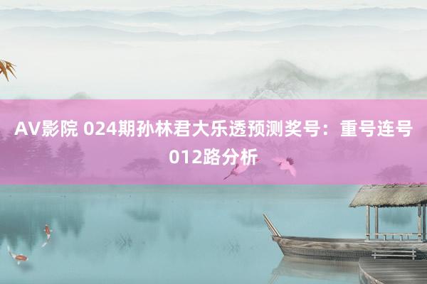 AV影院 024期孙林君大乐透预测奖号：重号连号012路分析
