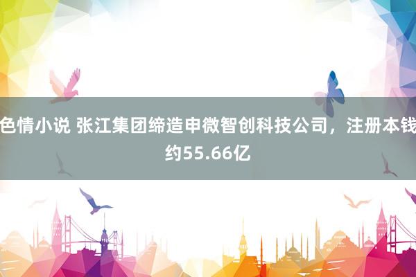 色情小说 张江集团缔造申微智创科技公司，注册本钱约55.66亿