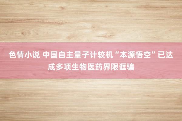 色情小说 中国自主量子计较机“本源悟空”已达成多项生物医药界限诓骗