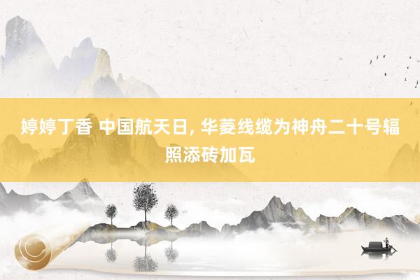 婷婷丁香 中国航天日， 华菱线缆为神舟二十号辐照添砖加瓦