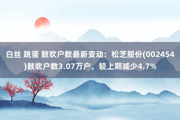 白丝 跳蛋 鼓吹户数最新变动：松芝股份(002454)鼓吹户数3.07万户，较上期减少4.7%