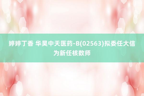 婷婷丁香 华昊中天医药-B(02563)拟委任大信为新任核数师