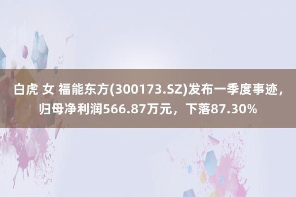 白虎 女 福能东方(300173.SZ)发布一季度事迹，归母净利润566.87万元，下落87.30%