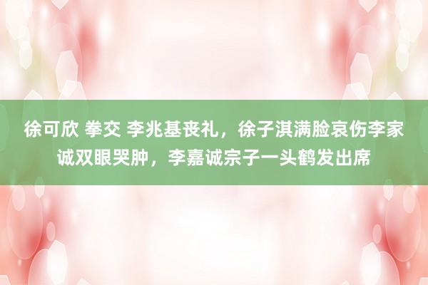 徐可欣 拳交 李兆基丧礼，徐子淇满脸哀伤李家诚双眼哭肿，李嘉诚宗子一头鹤发出席